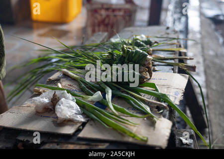 Ingredients such as lemon grass,Garlic and Spring onions used for the cooking of  spit roasted pig,otherwise known as Lechon Baboy in the Phiulippines. Stock Photo