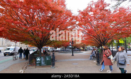 Trees display autumn colors in Father Demo Square in New York City (October 17, 2019) Stock Photo