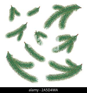 Set of green fir branches. Christmas tree twig decoration element. New Year tree branches with bushy needles. Conifer holiday decor. Vector Stock Vector