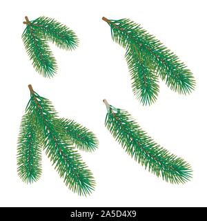 Green fir branch isolated on white background. Traditional Christmas evergreen tree decoration element. Vector Stock Vector