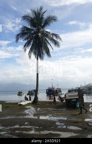 Alotau Harbor View dominated by a Tall Palm Tree against a Blue Sky with White Clouds Stock Photo