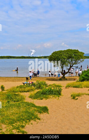 Families enjoying the peace and tranquil setting of Kenfig Pool, Pet dogs cool off in the water.Port Talbot Steelworks in distance. Stock Photo