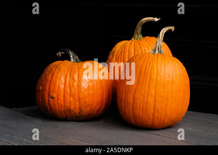 Three orange pumpkins on a grey foreground and black background, copy space around the pumpkins, landscape format Stock Photo