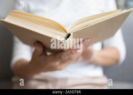 Old woman hands holding reading book, close up view Stock Photo