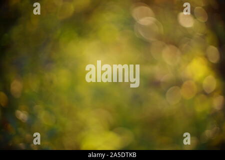 Colorful background in green and golden colors, the bokeh effect. Magical kingdom of fairies in fairy forest. Stock Photo