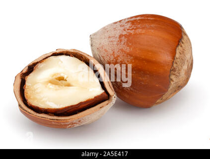 Half and whole hazelnuts isolated on white background Stock Photo