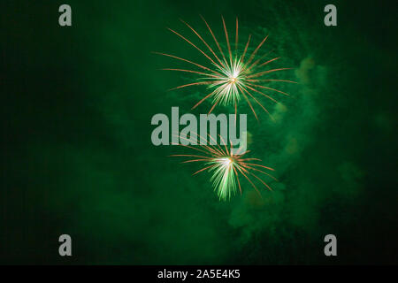Brilliant green fireworks against the backdrop of the night sky Stock Photo
