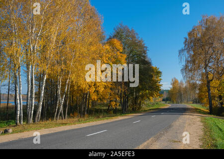 Autumn scene with road in forest near lake. Braslav, Belarus. Stock Photo