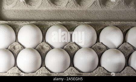 A typical egg carton containing one dozen white chicken eggs is viewed up close from above, filling the frame. Stock Photo