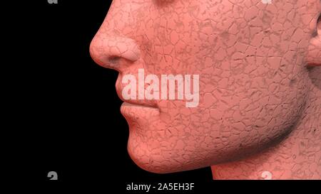 Skin Problems : old, cracked, dry skin on face . 3d render Stock Photo