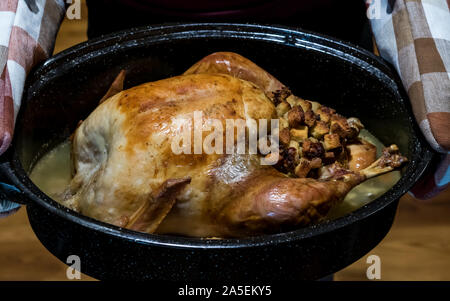 Whole roasted turkey. Stock Photo