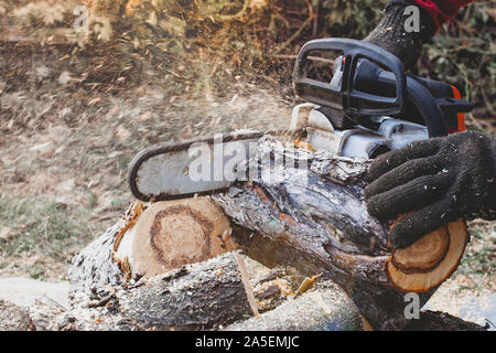 Professional chainsaw cuts firewoods Stock Photo