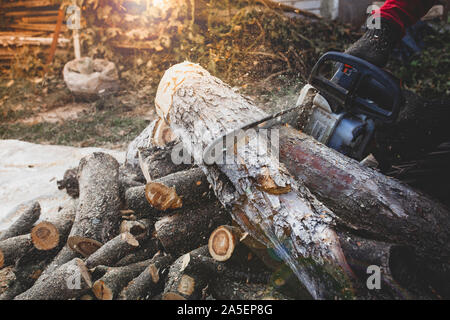 Professional chainsaw cuts firewoods Stock Photo