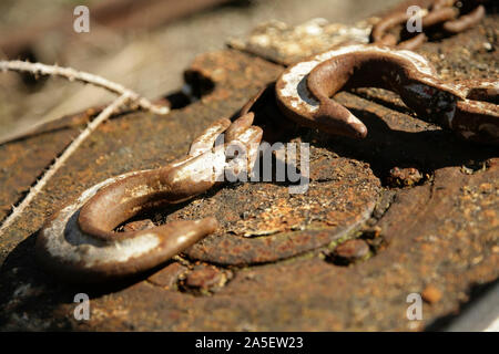 Two old rusty metal hooks. Stock Photo
