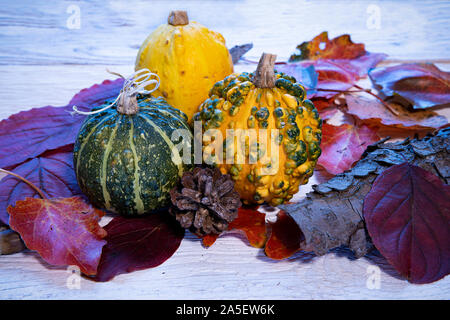 Autumn composition with pumpkins and autumn leaves on vintage white wooden background Stock Photo