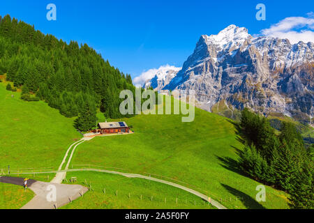 Grindelwald, Switzerland aerial autumn Swiss Alps mountains panorama landscape, wooden chalet on green field and high snow peaks in background, Bernes Stock Photo