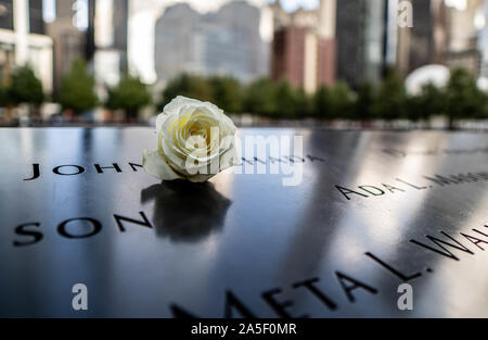 White Rose on the Ground Zero Memorial Stock Photo