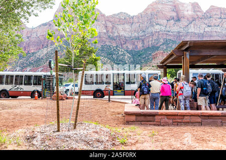 Springdale, USA - August 6, 2019: Zion National Park in Utah at transportation shuttle bus stop visitor center in summer with crowd of many people wai Stock Photo