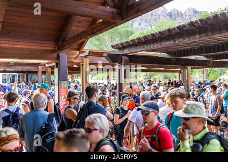 Springdale, USA - August 6, 2019: Zion National Park at shuttle bus stop visitor center in summer with crowd of many people waiting in line queue Stock Photo