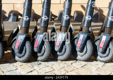 WROCLAW, POLAND - OCTOBER 6, 2019: Frontal view of five used model Bird Zero electric scooter (E-Scooters) frames from Bird parked near a wall. Stock Photo