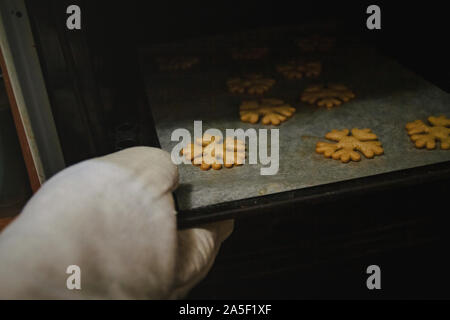 to get gingerbread cookies in the form of snowflakes from a oven mitt. Stock Photo