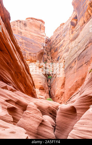 Orange red wave sandstone abstract formations vertical view of pattern of rocks shadows at narrow Antelope slot canyon in Arizona on trail from Lake P Stock Photo