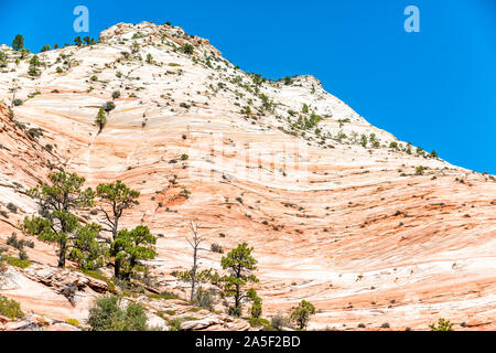 Desert landscape view of light white and orange rock cliffs formations and trees in summer day in Zion National Park in Utah Stock Photo