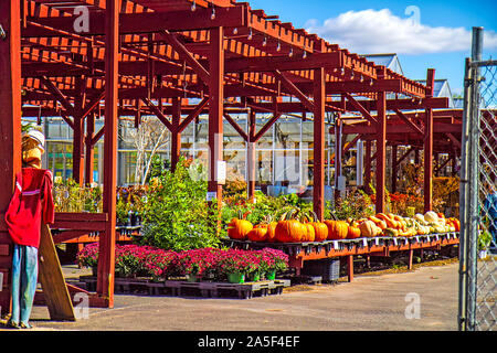 Quaint and popular local farmer's market selling outdoors plants, pumpkins and more in the fall season. Decorated for Fall season and Halloween. Stock Photo
