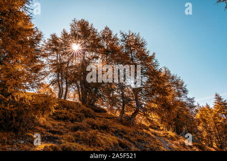 Abstract Effect. Autumn Sunrise In Mountain Within Inversion. Peaks Of 