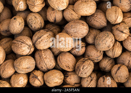 Walnuts. Whole walnuts background. Many walnuts close-up. Walnut texture. Stock Photo