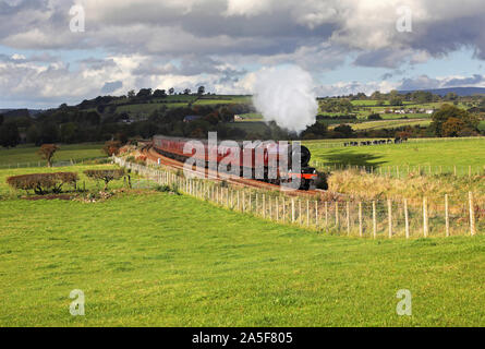 6201 passes Langwathby on the Settle & Carlisle railway. Stock Photo