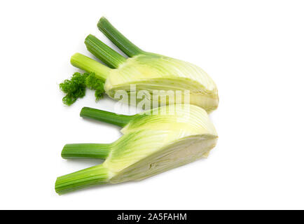 Raw Fennel. Fresh Fennel Bulb isolated on white Background, top View, close-up Stock Photo