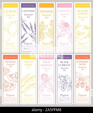 Cosmetic Essencial Oils Vertical tags. Vector Print Template Set of Flyers or banners. Lavender, Echinacea Herbs. Raspberry Seeds, Black Currant Engraved Berries. Lemon Fruit Sketches. Stock Vector