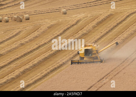 A Combine Harvester Working on a Hillside in Scotland with Straw Bales Ready For Collection Stock Photo