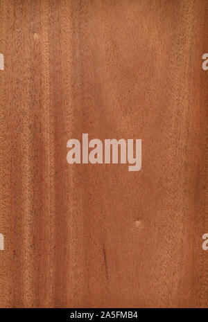 Natural wooden texture background. Sapele wood. Entandophragma cylindricum Stock Photo