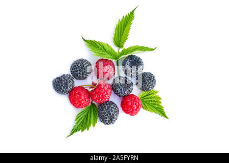 Mix berries with leaf. Various fresh berries isolated on white background. Raspberry, Blackberry. Stock Photo