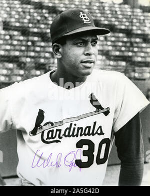 Orlando Cepeda - St Louis Cardinals  St louis cardinals baseball, St louis  baseball, Cardinals baseball