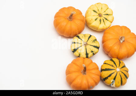 Flat-lay of mini pumpkins on white background Stock Photo