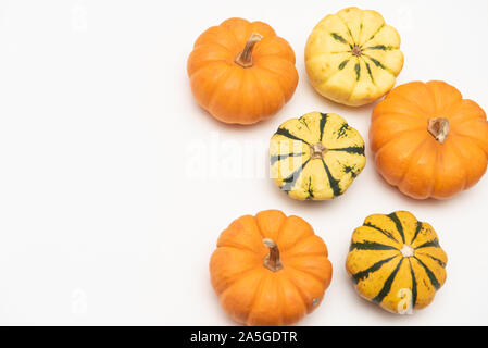 Flat-lay of mini pumpkins on white background Stock Photo