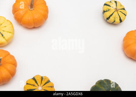 Flat-lay of mini pumpkins on white background Stock Photo