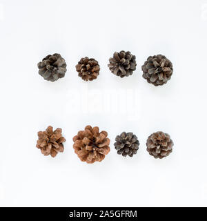 Pine cones on white background. Autumn concept Stock Photo