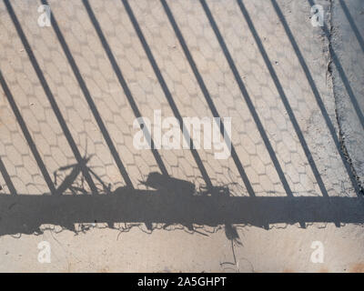 Shadow of gate with Hexagonal chicken wire on a concrete sidewalk Stock Photo