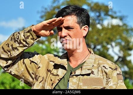 Male Soldier Saluting Stock Photo - Alamy