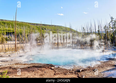 Hot steam rises from Cistern Spring in Norris Geyser Basin at Yellowstone National Park, Wyoming, USA Stock Photo