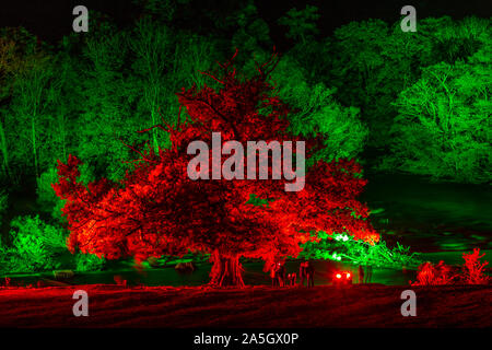Night time illuminations of trees and river at Horseshoe Falls, River Dee, Llangollen, North Wales Stock Photo