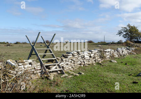 Wooden stile crossing an old dry stone wall at the island Oland in Sweden Stock Photo