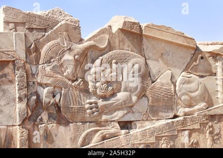 Famous bas-relief on the wall in ancient city Persepolis,  Iran. The lion attacks the bull and bites it (symbolizes fertility of earth and change of s Stock Photo