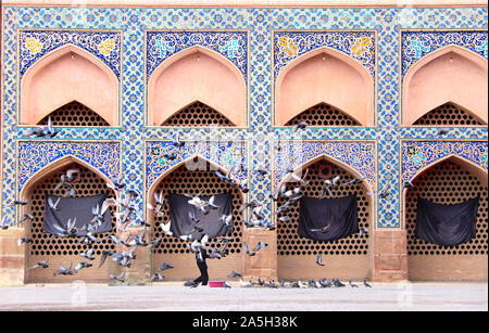 Feeding of pigeons in courtyard of Masjid-e Jameh Mosque (Jame mosque,  Friday Mosque), Isfahan, Iran. UNESCO World Heritage Site Stock Photo