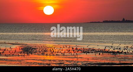 Orange-red sunset over the North Sea, Neuwerk Island, Silhouette, Duhnen, Cuxhaven, Lower Saxony, Germany Stock Photo