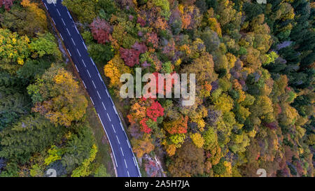 Drone aerial view of an mountain road winding through an Alpine aerial misty forest in the Swiss french Jura mountains. Stock Photo